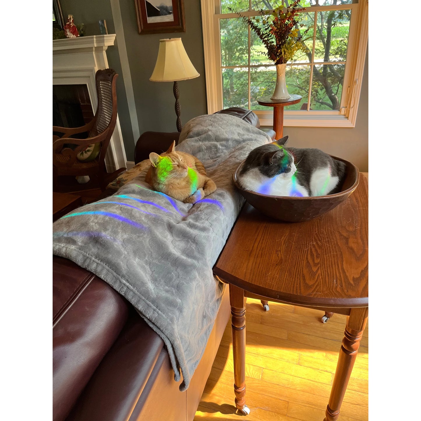 Peace Suncatcher Sticker