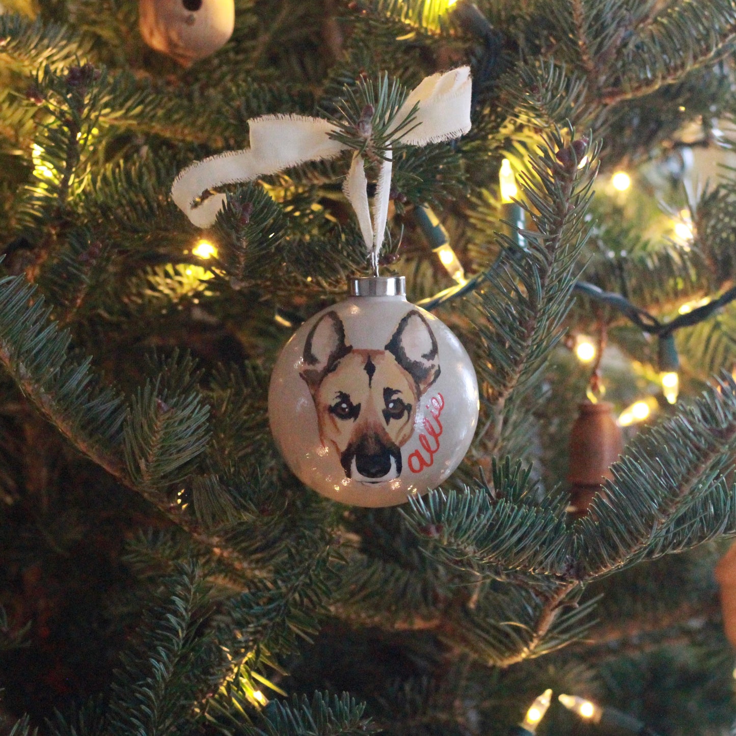 Painted Pet Ornament