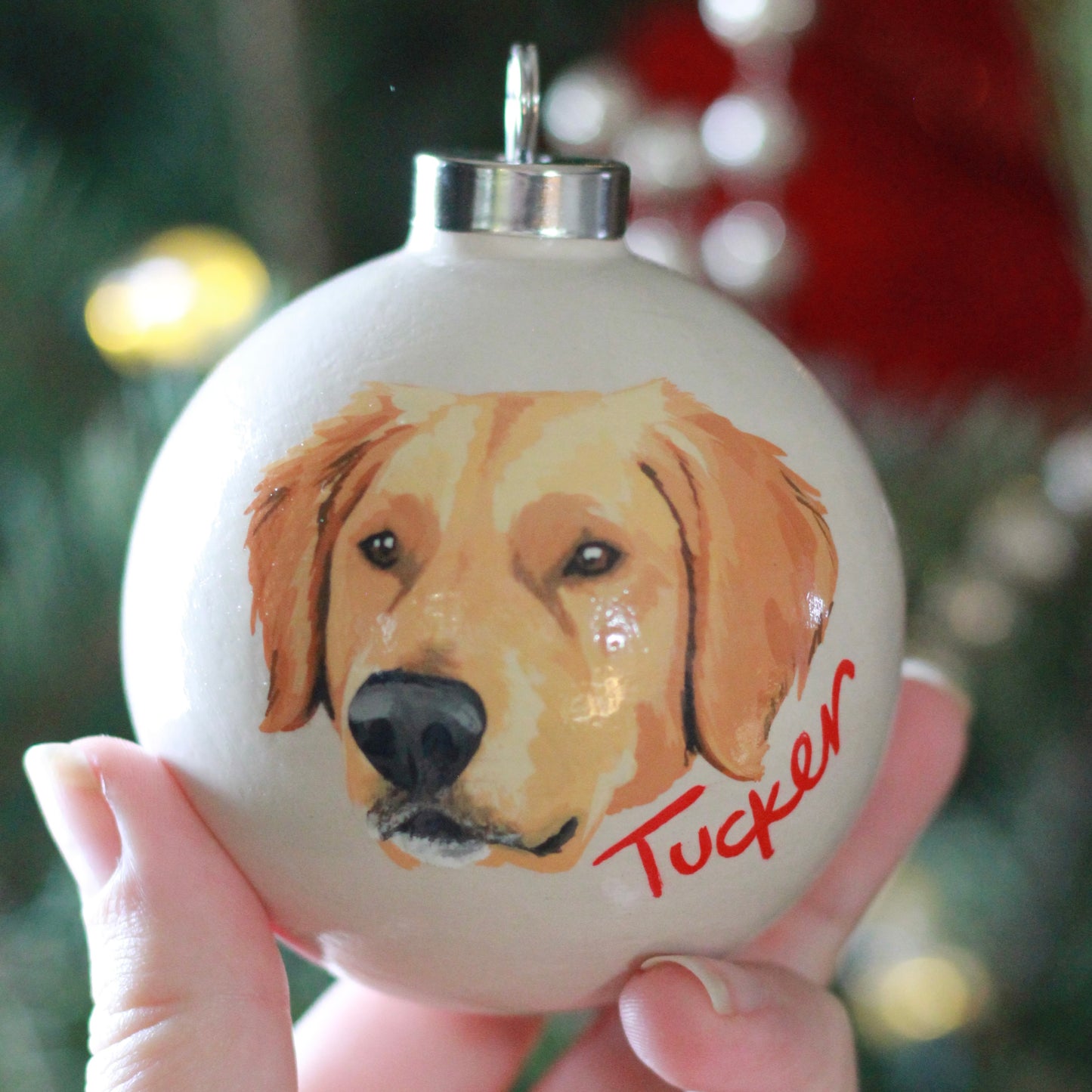 Painted Pet Ornament