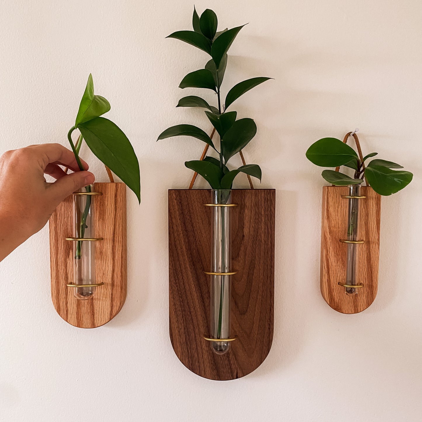 Oak + Brass Wallflower